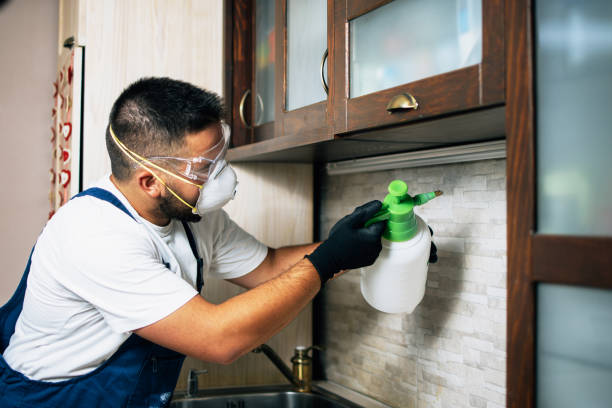Best Pest Prevention Services  in Fenton, MO