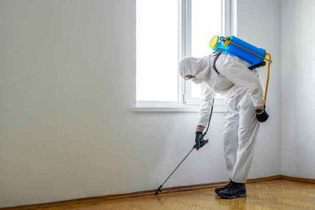 Reliable Fenton, MO Pest Control Solutions