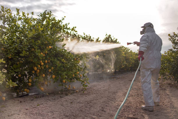 Best Pest Removal Services  in Fenton, MO