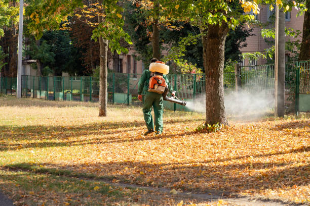 Pest Control Cost in Fenton, MO