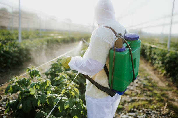 Best Emergency Pest Control  in Fenton, MO